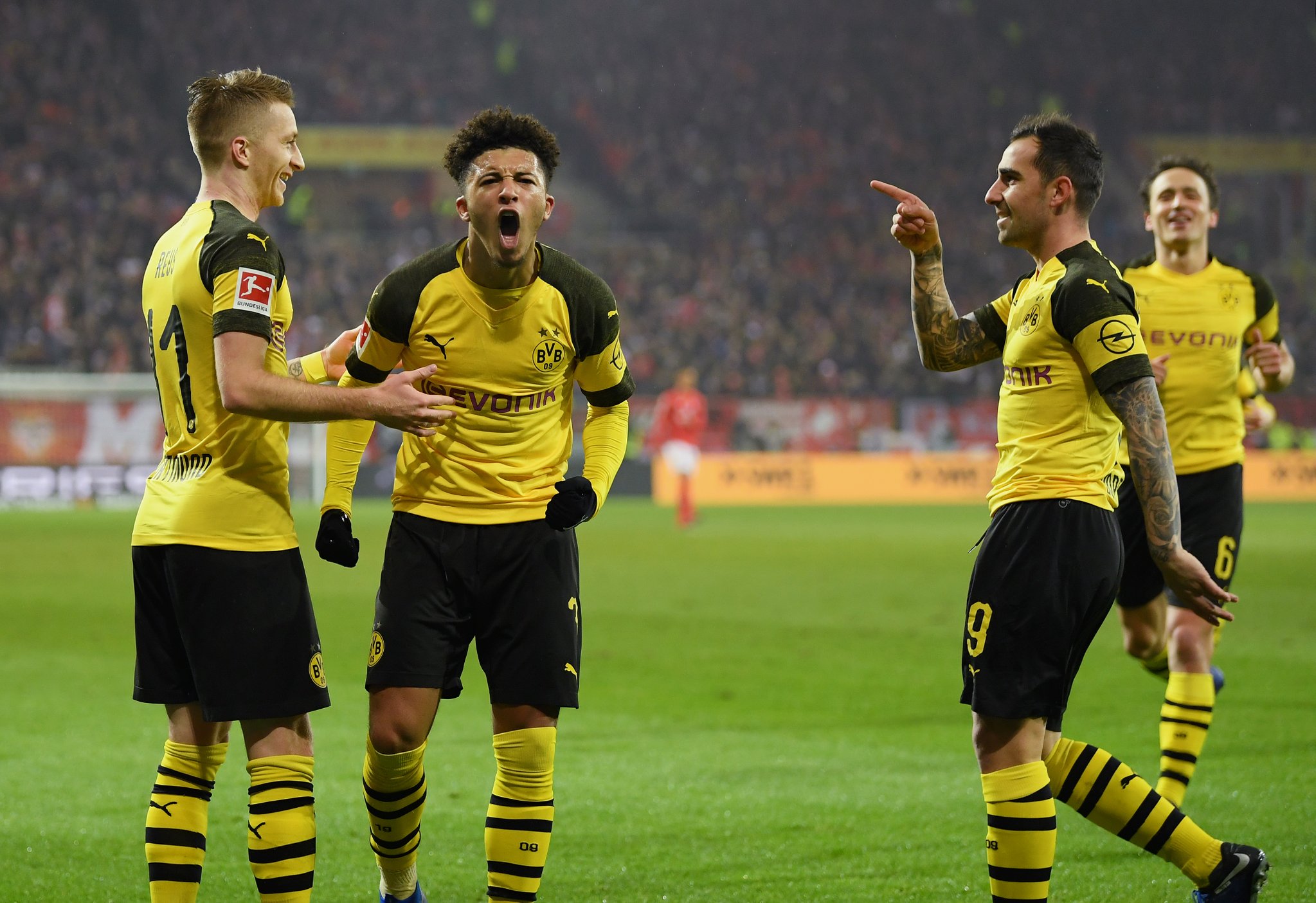 Wet Double Wide-Belt Polish Mac